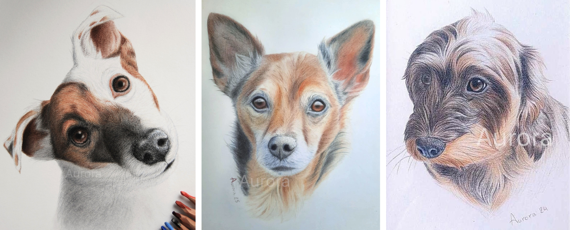 tableau dessiné d'après photo au pastel de trois chiens, dont un jack russel et un teckel